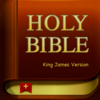 ThoughtFul - K.J.V. Holy Bible artwork