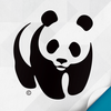 World Wildlife Fund - WWF Together artwork