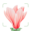 Apalon Apps - Blossom - Plant Identification artwork