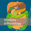 Prakash Acharya - Nursing Anatomy and Physiology artwork