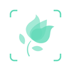 Hangzhou Glority Software Limited - PictureThis - Plant identifier artwork