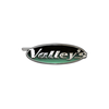 Valleys Fast Food Lichfield – Riaz Imran