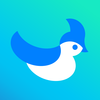 Jay for Tweeting – Nerius Vaskevicius