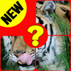 Animal Kingdom Quiz Name – Naphat Kanana