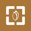 Nut Scan – Peter IJlst