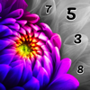 Photo by Number – Hyperfun