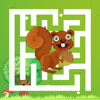 MAZE – SQUIRREL FIND CHESTNUT – Nicholas Raman