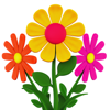 Color Bouquet – Abdelghafour IFTAH IFTAH